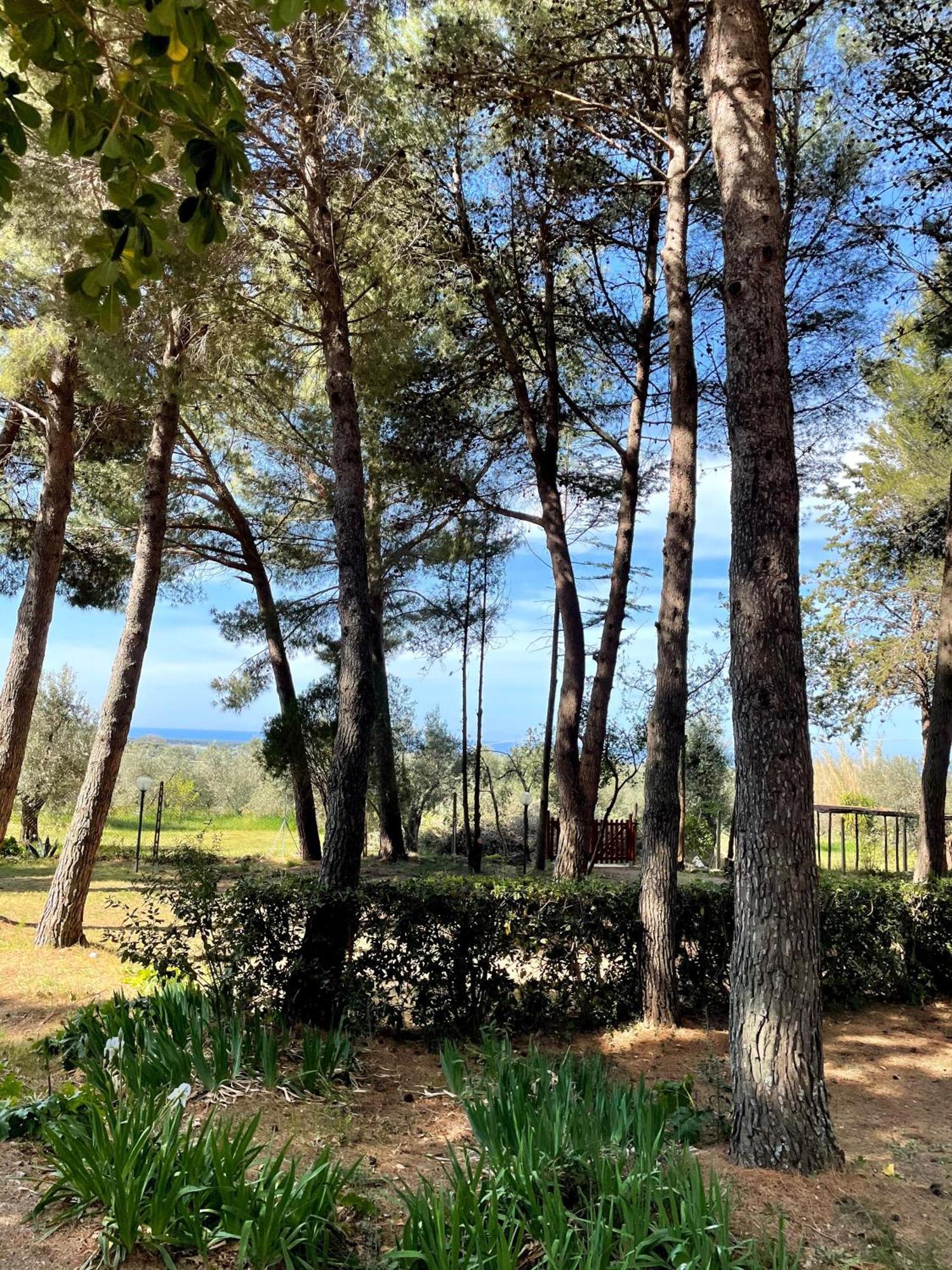 Agriturismo Podere Campalto Campiglia Marittima Extérieur photo