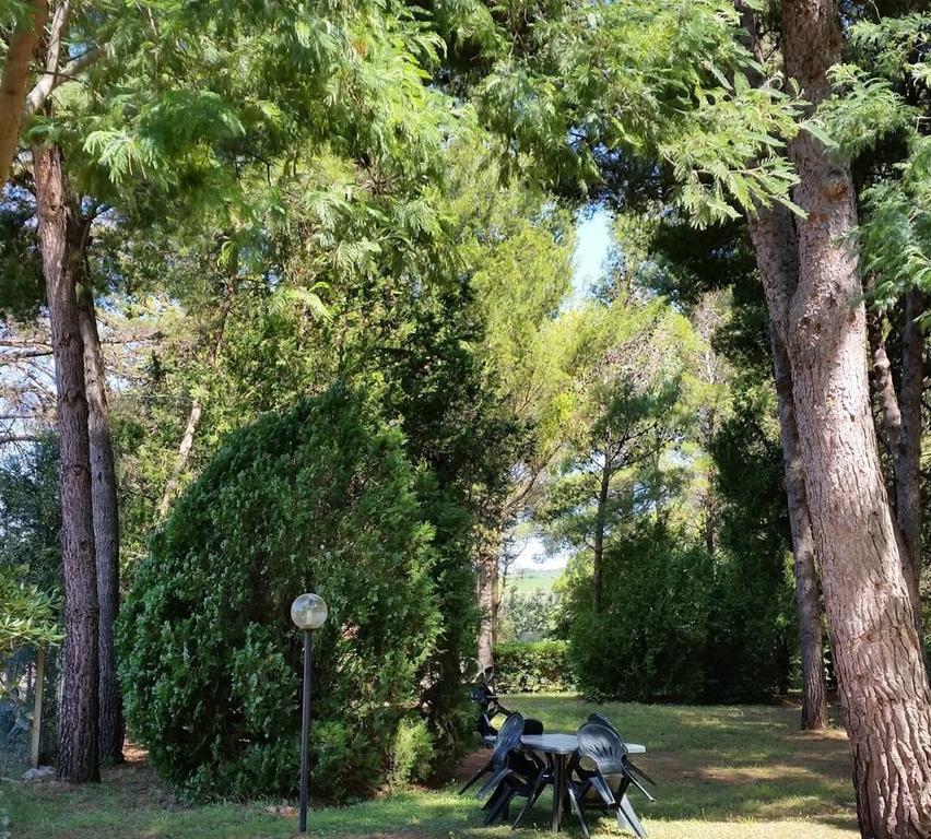 Agriturismo Podere Campalto Campiglia Marittima Extérieur photo