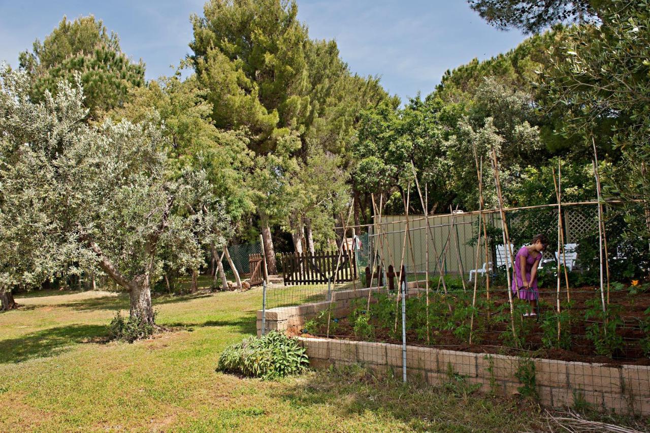 Agriturismo Podere Campalto Campiglia Marittima Extérieur photo